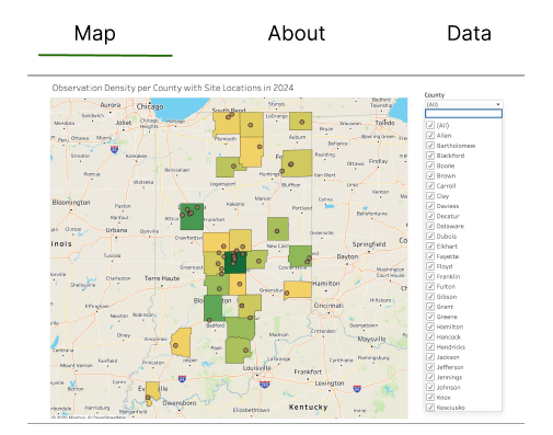 placeholder data viz image