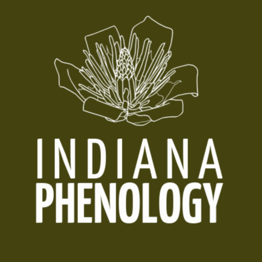 Indiana Phenology Logo; Depicts flower with Indiana Phenology under it